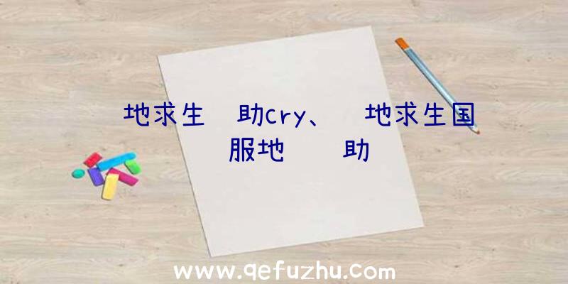 绝地求生辅助cry、绝地求生国际服地铁辅助