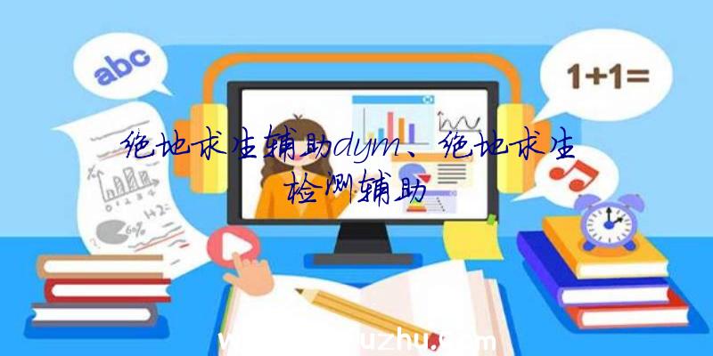 绝地求生辅助dym、绝地求生