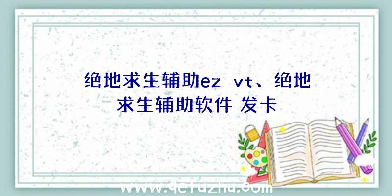 绝地求生辅助ez