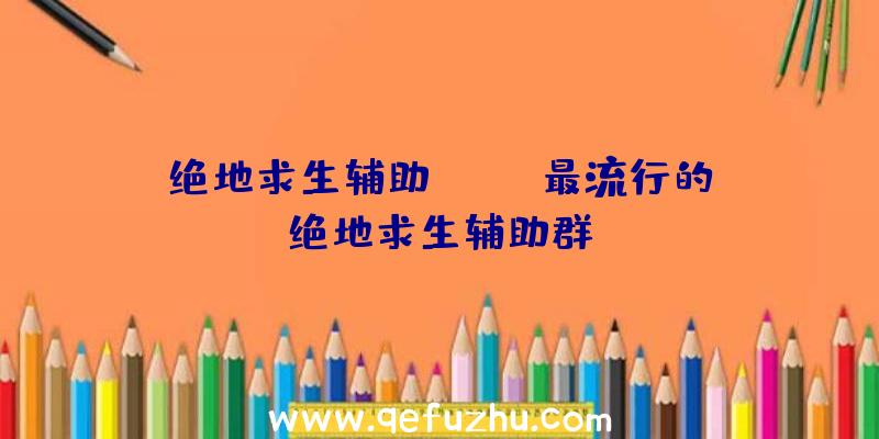 绝地求生辅助home、最流行的绝地求生辅助群