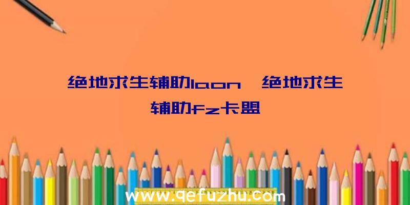 绝地求生辅助laon、绝地求生辅助fz卡盟