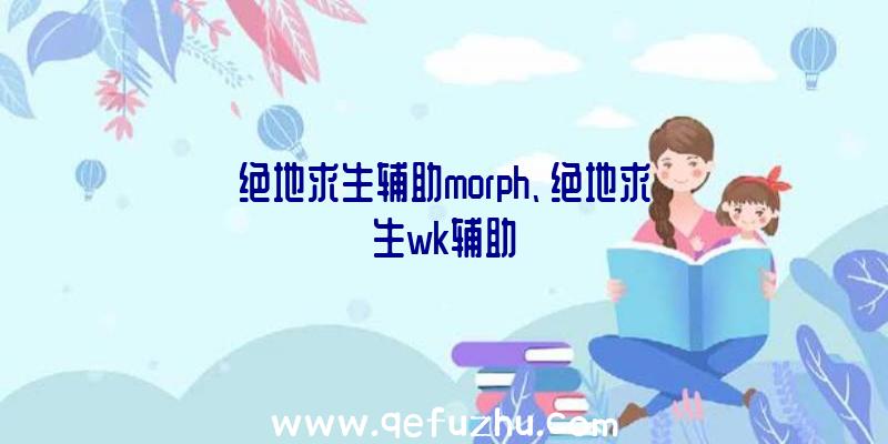 绝地求生辅助morph、绝地求生wk辅助