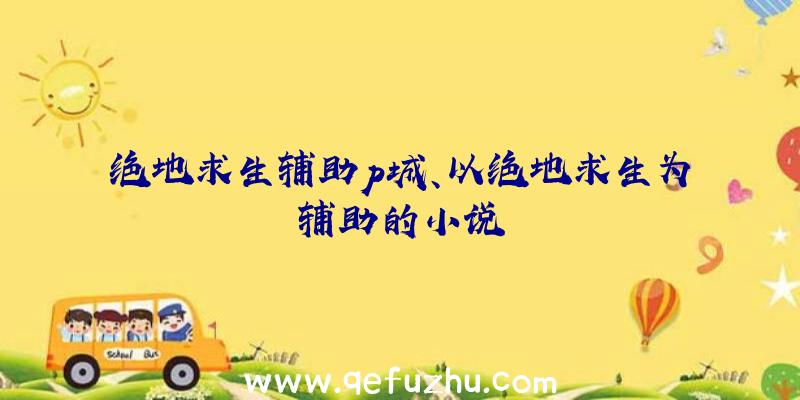 绝地求生辅助p城、以绝地求生为辅助的小说