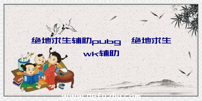 绝地求生辅助pubg、绝地求生wk辅助