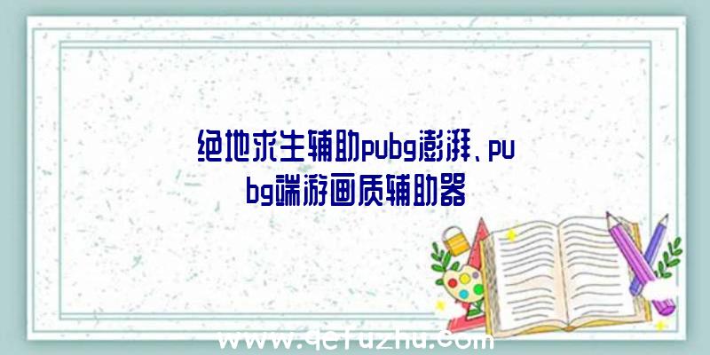 绝地求生辅助pubg澎湃、pubg端游画质辅助器