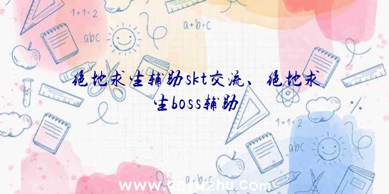 绝地求生辅助skt交流、绝地求生boss辅助