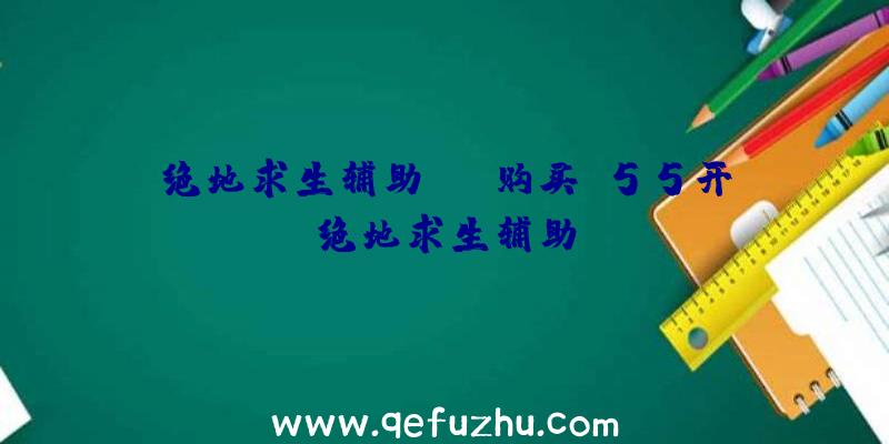 绝地求生辅助skt购买、55开绝地求生辅助