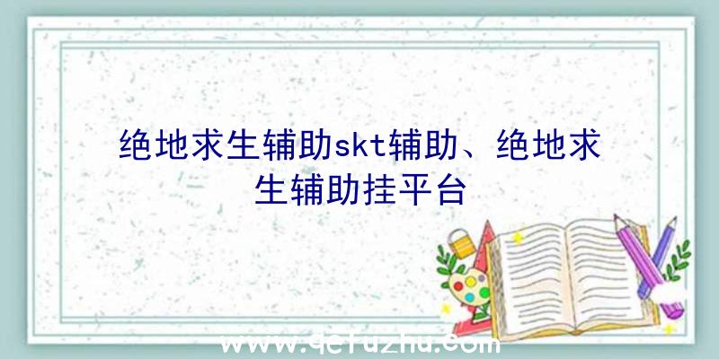 绝地求生辅助skt辅助、绝地求生辅助挂平台