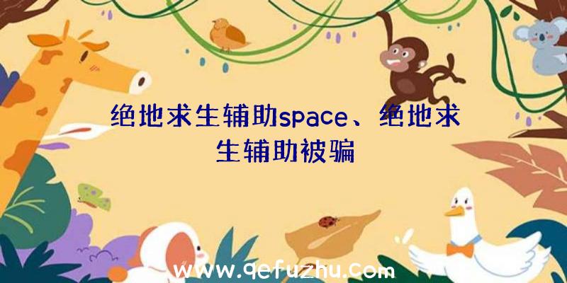 绝地求生辅助space、绝地求生辅助被骗