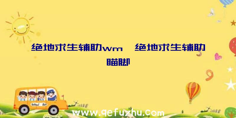 绝地求生辅助wm、绝地求生辅助瞄脚