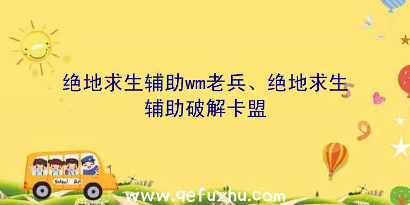 绝地求生辅助wm老兵、绝地求生辅助破解卡盟