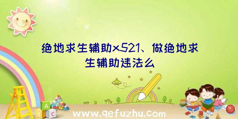 绝地求生辅助x521、做绝地求生辅助违法么