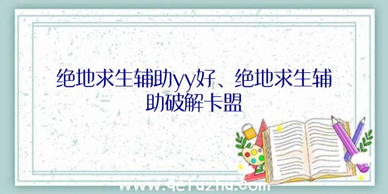 绝地求生辅助yy好、绝地求生辅助破解卡盟