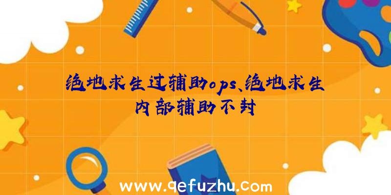 绝地求生过辅助ops、绝地求生内部辅助不封