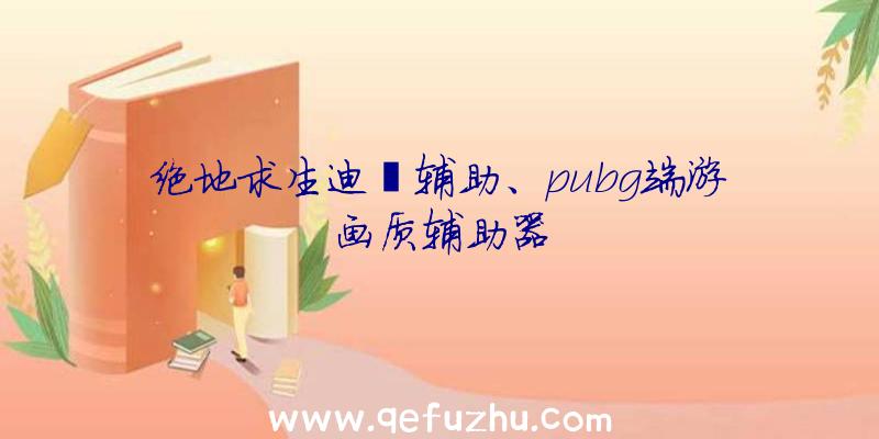 绝地求生迪迦辅助、pubg端游画质辅助器