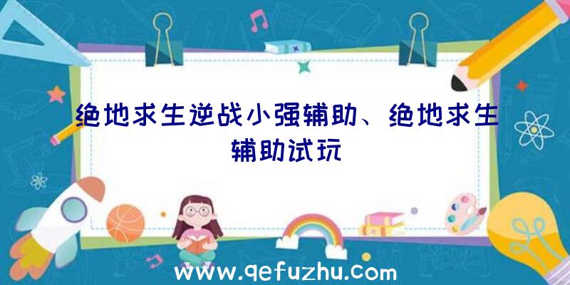 绝地求生逆战小强辅助、绝地求生辅助试玩