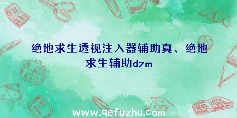 绝地求生透视注入器辅助真、绝地求生辅助dzm