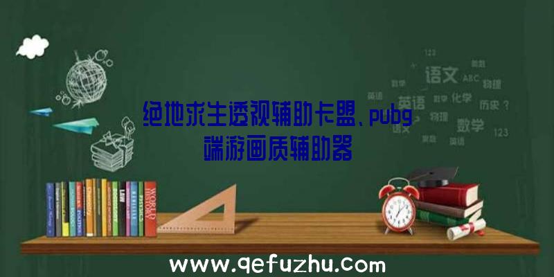 绝地求生透视辅助卡盟、pubg端游画质辅助器