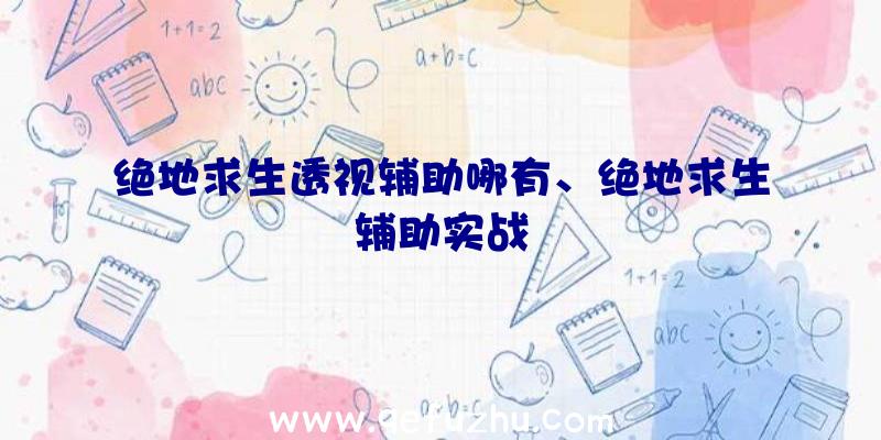 绝地求生透视辅助哪有、绝地求生辅助实战