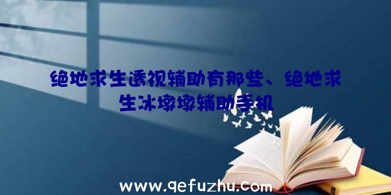 绝地求生透视辅助有那些、绝地求生冰墩墩辅助手机