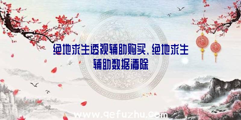 绝地求生透视辅助购买、绝地求生辅助数据清除