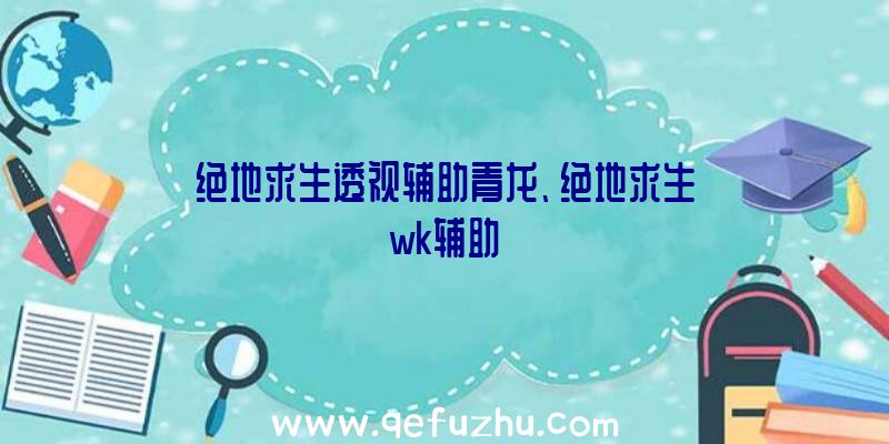 绝地求生透视辅助青龙、绝地求生wk辅助