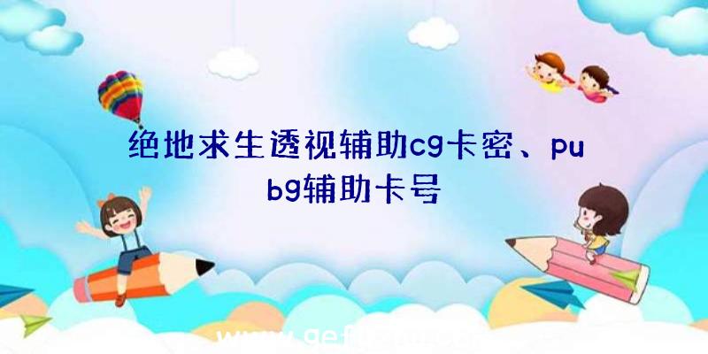 绝地求生透视辅助cg卡密、pubg辅助卡号