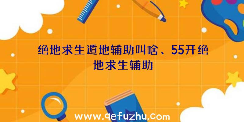 绝地求生遁地辅助叫啥、55开绝地求生辅助