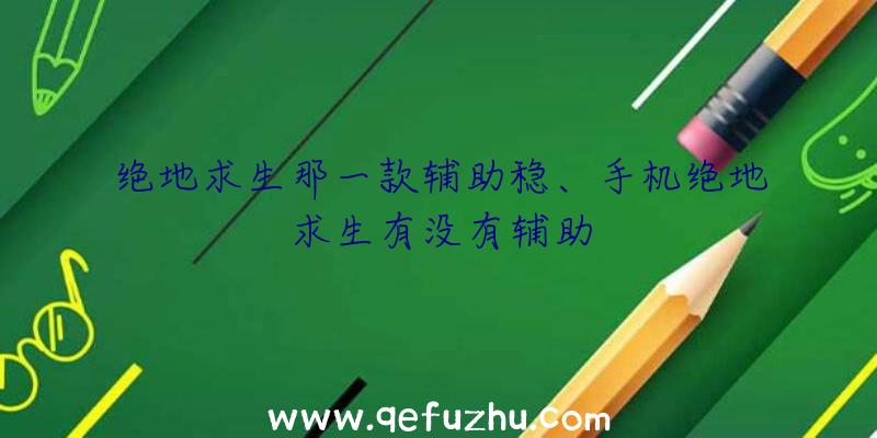 绝地求生那一款辅助稳、手机绝地求生有没有辅助