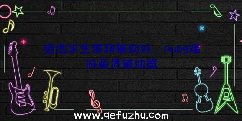 绝地求生那种辅助好、pubg端游画质辅助器