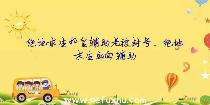 绝地求生邪皇辅助老被封号、绝地求生画面辅助