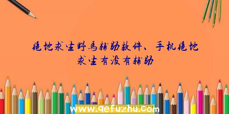 绝地求生野马辅助软件、手机绝地求生有没有辅助