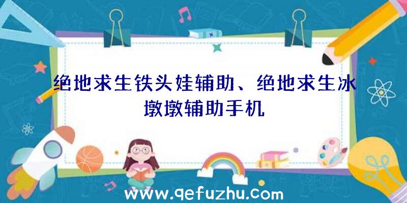 绝地求生铁头娃辅助、绝地求生冰墩墩辅助手机