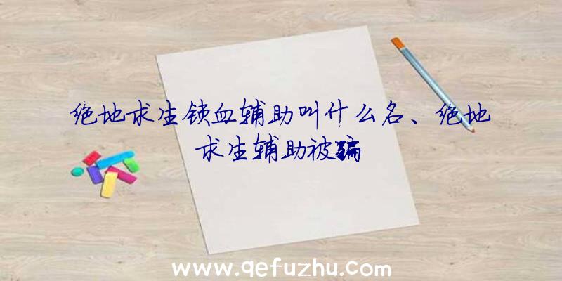 绝地求生锁血辅助叫什么名、绝地求生辅助被骗