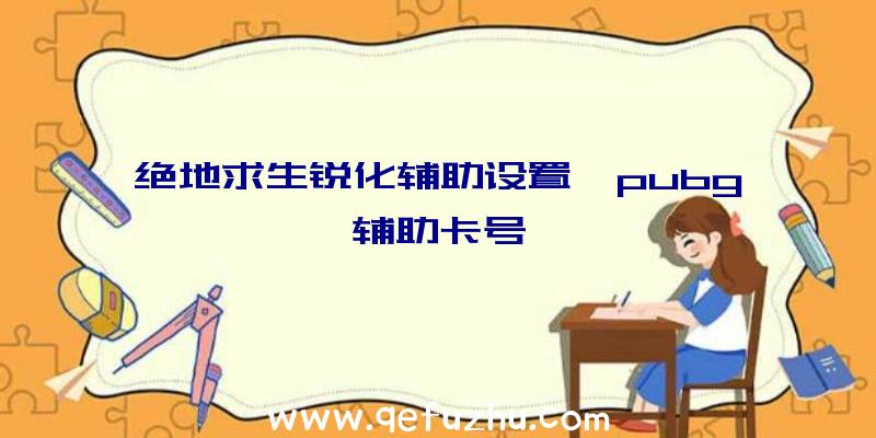 绝地求生锐化辅助设置、pubg辅助卡号