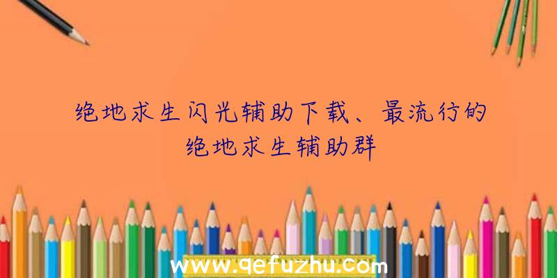 绝地求生闪光辅助下载、最流行的绝地求生辅助群