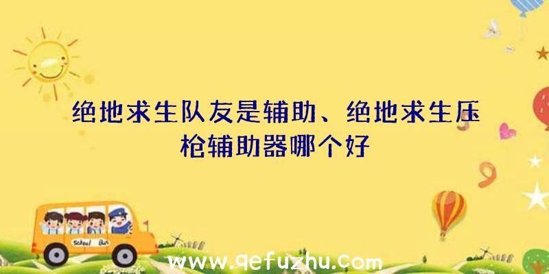 绝地求生队友是辅助、绝地求生压枪辅助器哪个好