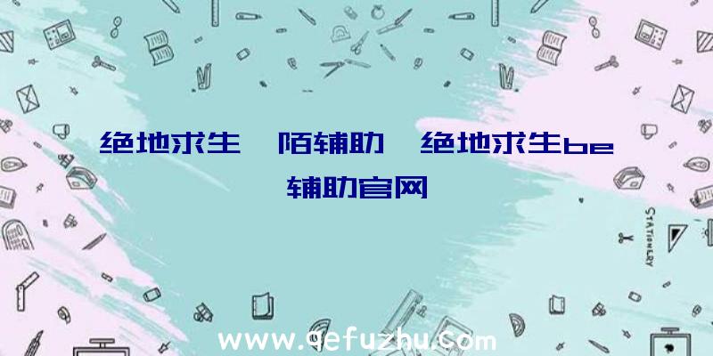 绝地求生阡陌辅助、绝地求生be辅助官网