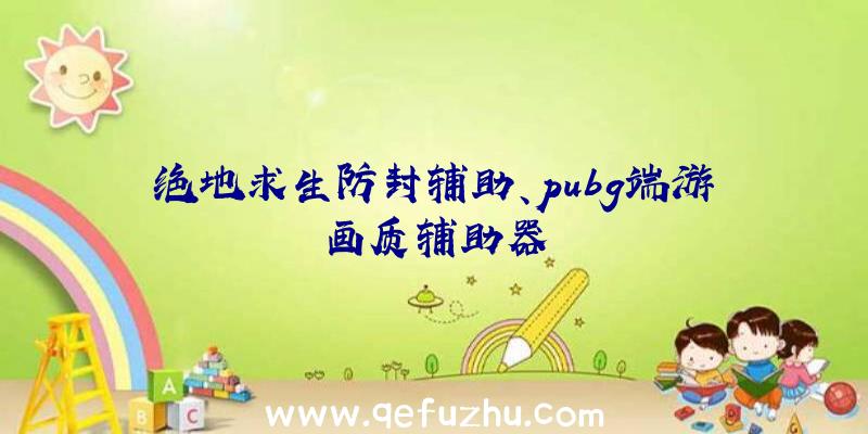 绝地求生防封辅助、pubg端游画质辅助器