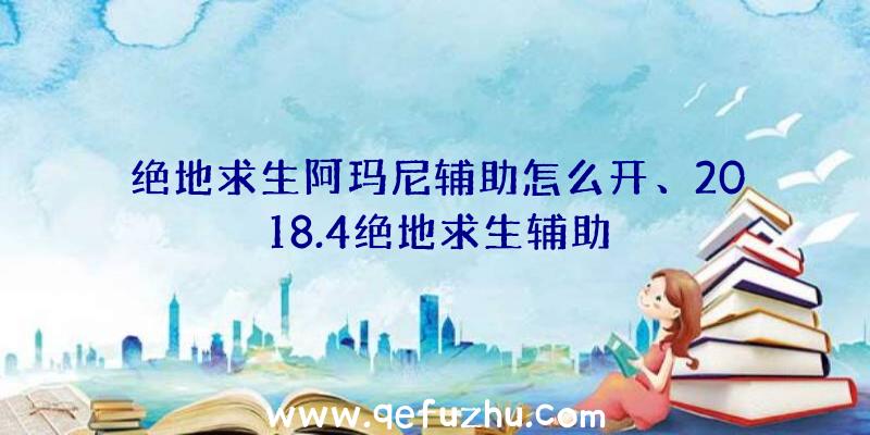 绝地求生阿玛尼辅助怎么开、2018.4绝地求生辅助