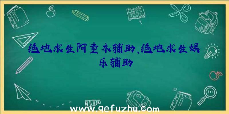 绝地求生阿童木辅助、绝地求生娱乐辅助