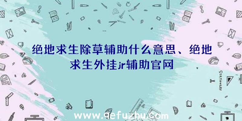 绝地求生除草辅助什么意思、绝地求生外挂jr辅助官网