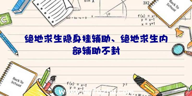 绝地求生隐身挂辅助、绝地求生内部辅助不封