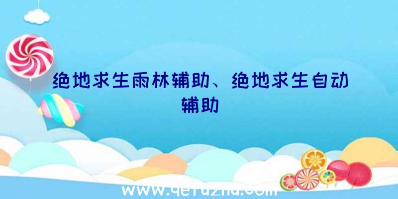 绝地求生雨林辅助、绝地求生自动辅助