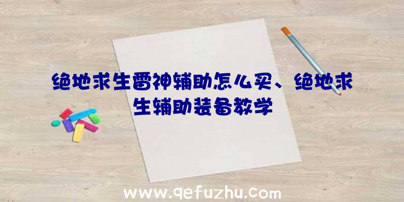 绝地求生雷神辅助怎么买、绝地求生辅助装备教学