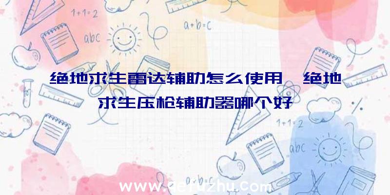 绝地求生雷达辅助怎么使用、绝地求生压枪辅助器哪个好