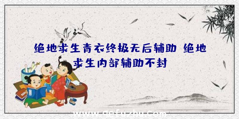 绝地求生青衣终极无后辅助、绝地求生内部辅助不封