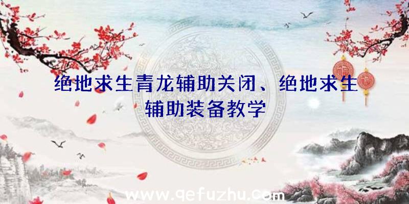 绝地求生青龙辅助关闭、绝地求生辅助装备教学