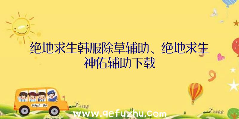 绝地求生韩服除草辅助、绝地求生神佑辅助下载