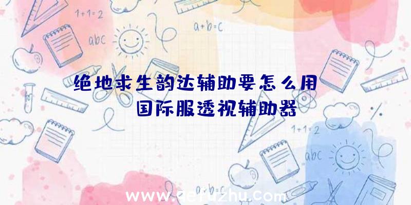 绝地求生韵达辅助要怎么用、pubg国际服透视辅助器